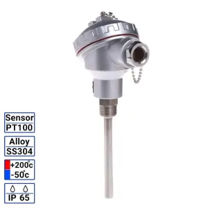 PT100 هد دار قطر 6 میل با رزوه